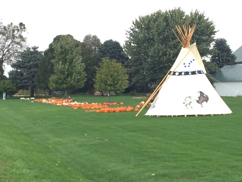Teepee, Pumpkins